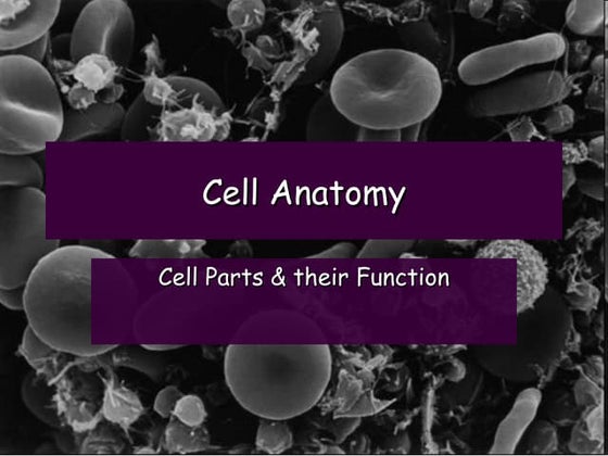 3. Cell Organells ppt 1.ppt
