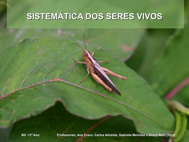 sistemática dos seres vivos 