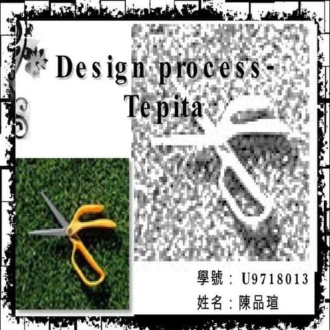 U9718013 Design Process
