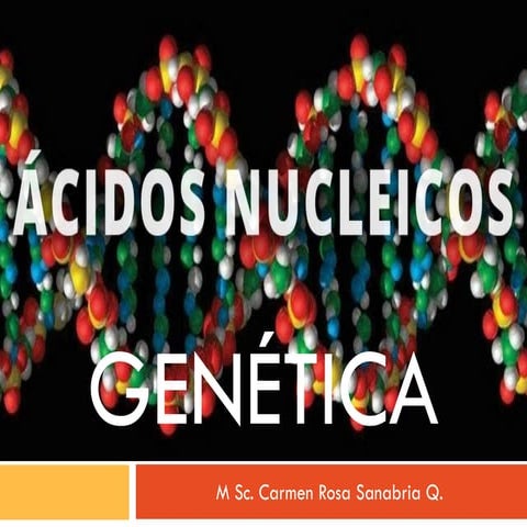 UA 2. GENÉTICA. bioquimica archivo pdf de genetica acidos nucleicos