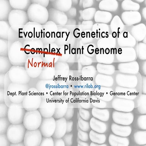 Evolutionary Genetics of Complex Genome