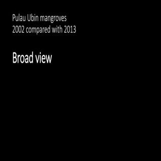 Ubin mangroves google earth histori...