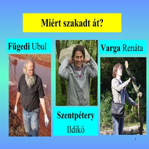 Fügedi Ubul - Miért szakadt át? A kolontári baleset földtani okai ...