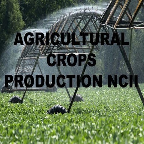 AGRICULTURAL CROP PRODUCTIONUC 1_TYPES OF PLANT PRODUCTION.pptx
