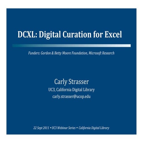 Digital Curation for Excel (DCXL)