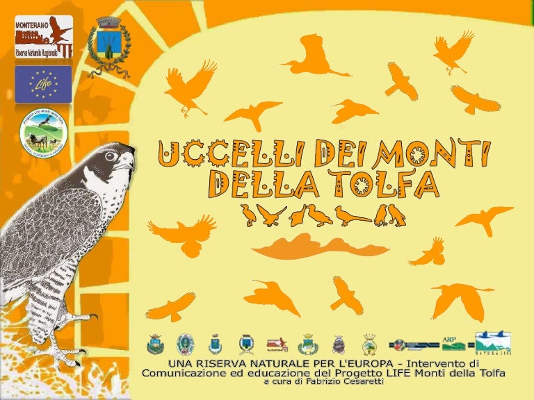 Uccelli Monti Della Tolfa