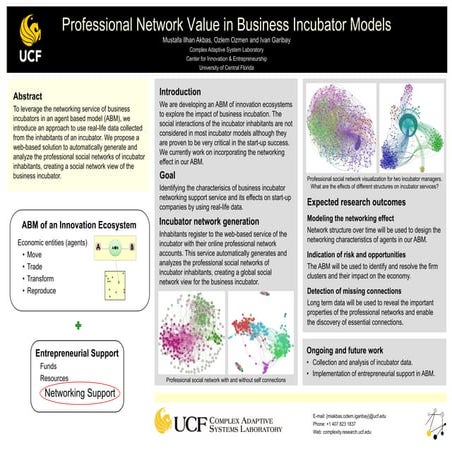 Professional Network Value in Business Incubator Models