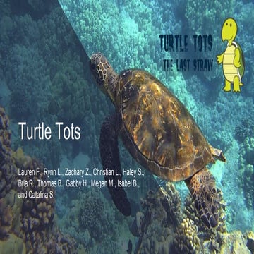 Presentation on Turtle Conservation for BUP on 19.05.2025.pptx