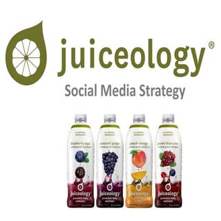 Social Media Strategy (2013)