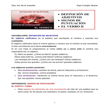 Ud. 7  Def. Adjetivos. Signos punt