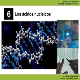 Ud.6. ac. nucleicos