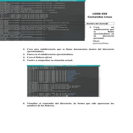 Ud06 e04 comandos linux