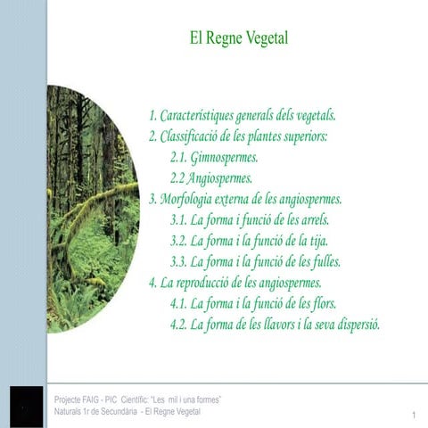 Els Vegetals - FAIG