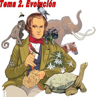 Ud 2. evolucion