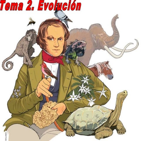 Ud 2. evolucion