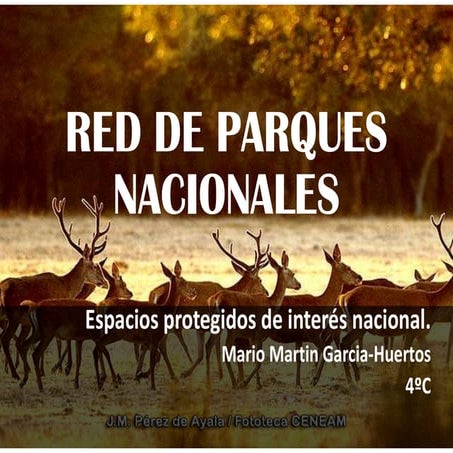 Practica digitalización Mario Martin 4ºC