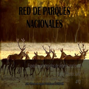 UD2_P8_SofiaVizosoSanz.pdf superficies terrestres y marinas