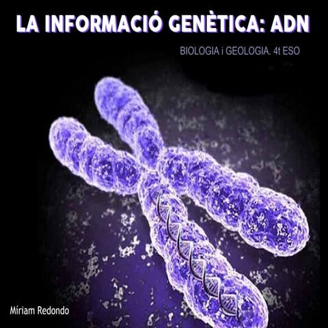 LA INFORMACIÓ GENÈTICA