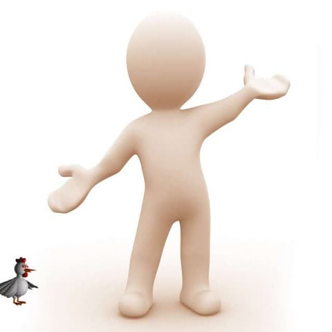 Aristotle & Stoics - Issue Of Soul (Philosophy Of Man)