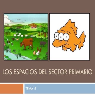Ud5. espacios del sector primario