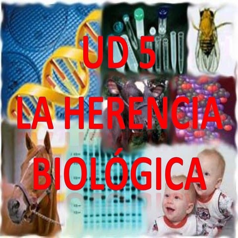 Ud 5 la herencia biologica