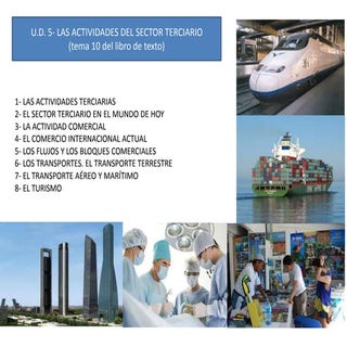 Ud 6 las actividades del sector ter...