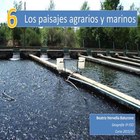 Paisajes agrarios (Tema 6)