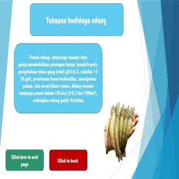 Panduan Lengkap Budidaya Udang Vaname dan Galah untuk Pemula | PPTX
