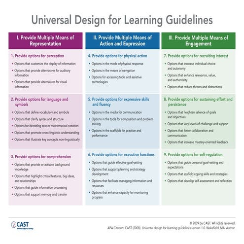 Udl Guidelines