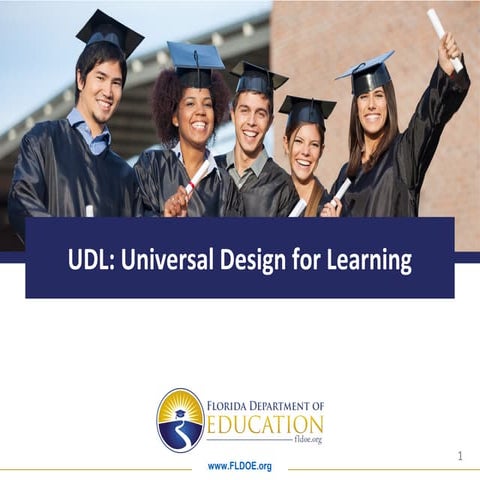 UDL Training