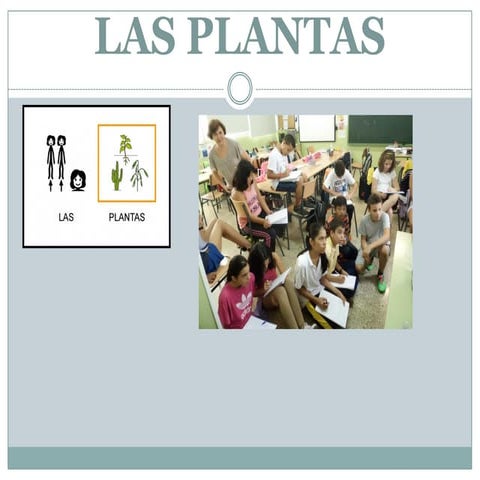 Ud plantas