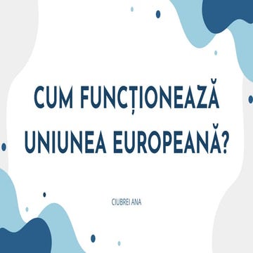 cum functioneaza uniunea europeana.pdf