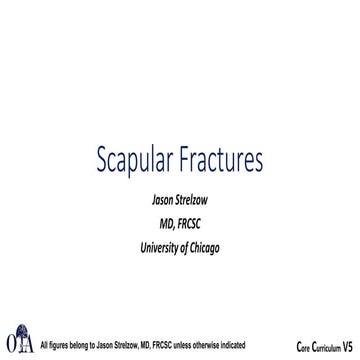 Scapula Fractures classification and manegment