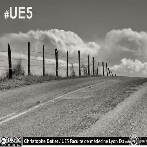 Ue5 lyon EsT sept2014