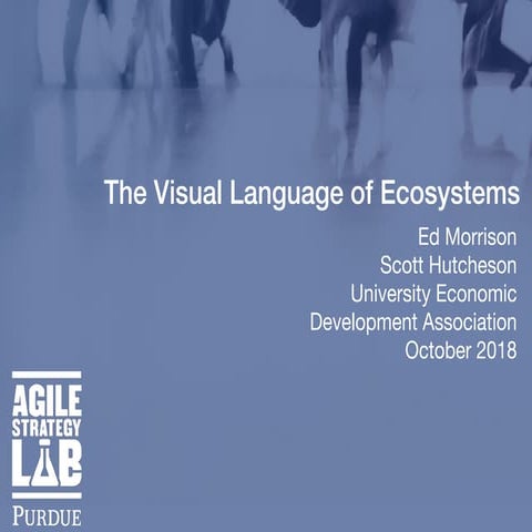 The Visual Language of Ecosystems