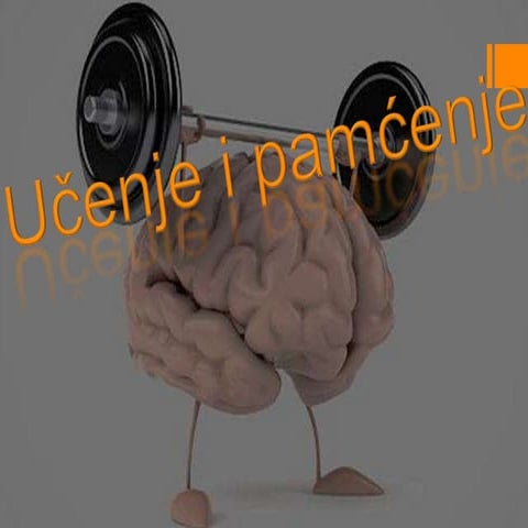 ucenje i pamcenje