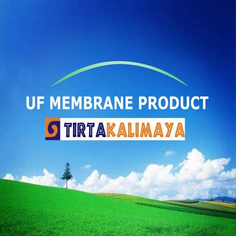general-presentation-uf-ppt