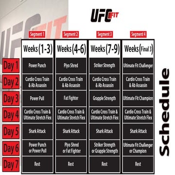 Ufc fit workout schedule | PDF