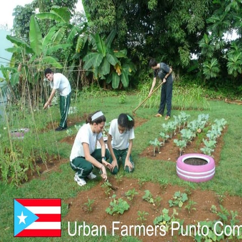 Lo que somos y hacia donde vamos...