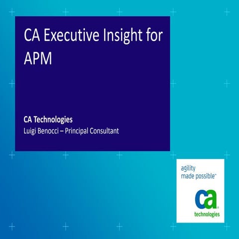 Ug  apm - ca executive insight customer presentation v2.2 english
