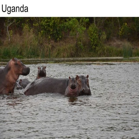 Uganda