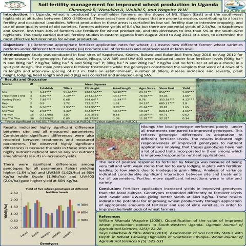 Soil fertility management for improved wheat production in Uganda