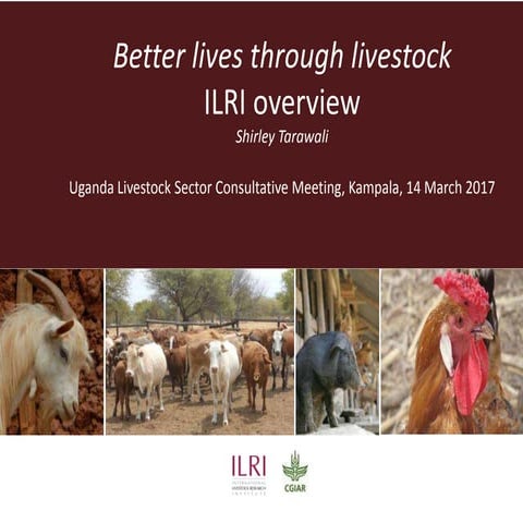 Better lives through livestock: ILRI overview