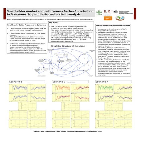 Smallholder market competitiveness for beef production in Botswana: A quantit...