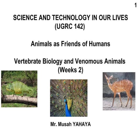 Ugrc142 animals as friends of humans vertebrates