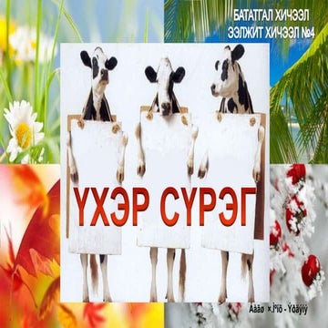 Үхэр сүрэг | PPTX