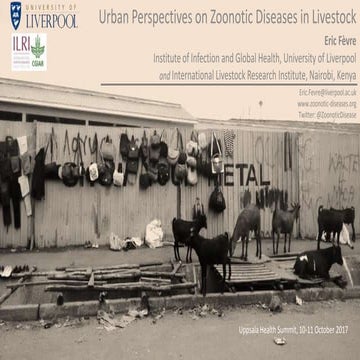 Urban perspectives on zoonotic diseases in livestock