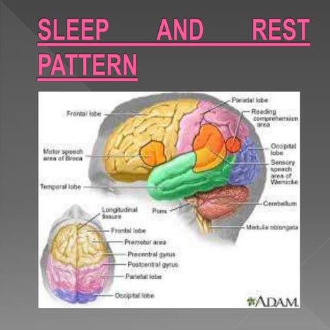 uint no 18 sleep.pptx