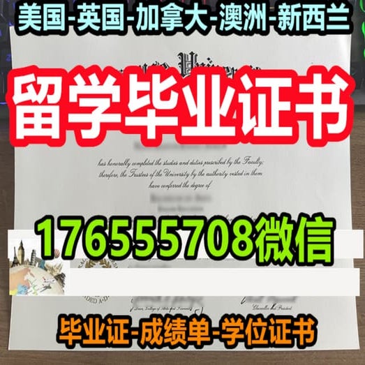 MIT文凭 | PDF