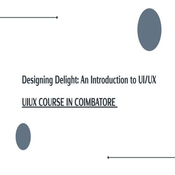 Designing Delight: An Introduction to UI/UX | PDF